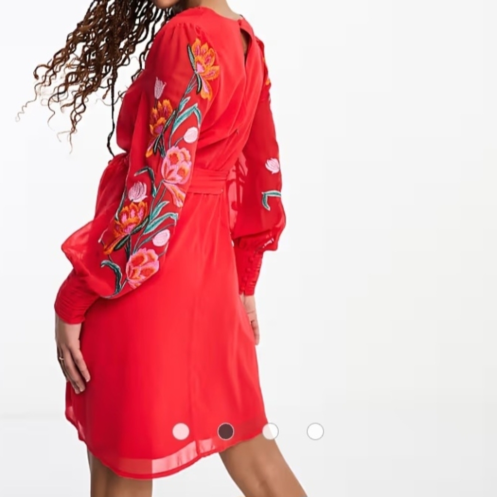 Chic Red Embroidered Mini Dress - Picture 10 of 11